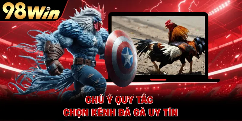 Chú ý quy tắc chọn kênh đá gà uy tín
